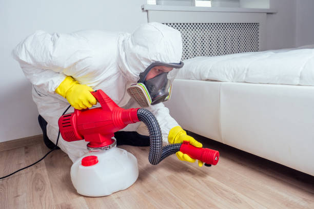 Best Real Estate Pest Inspections  in Falfurrias, TX